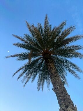 WELCOME TO MY

END OF STORY NEW BEGINNING SALE

Simply put EVERYTHING MUST GO!